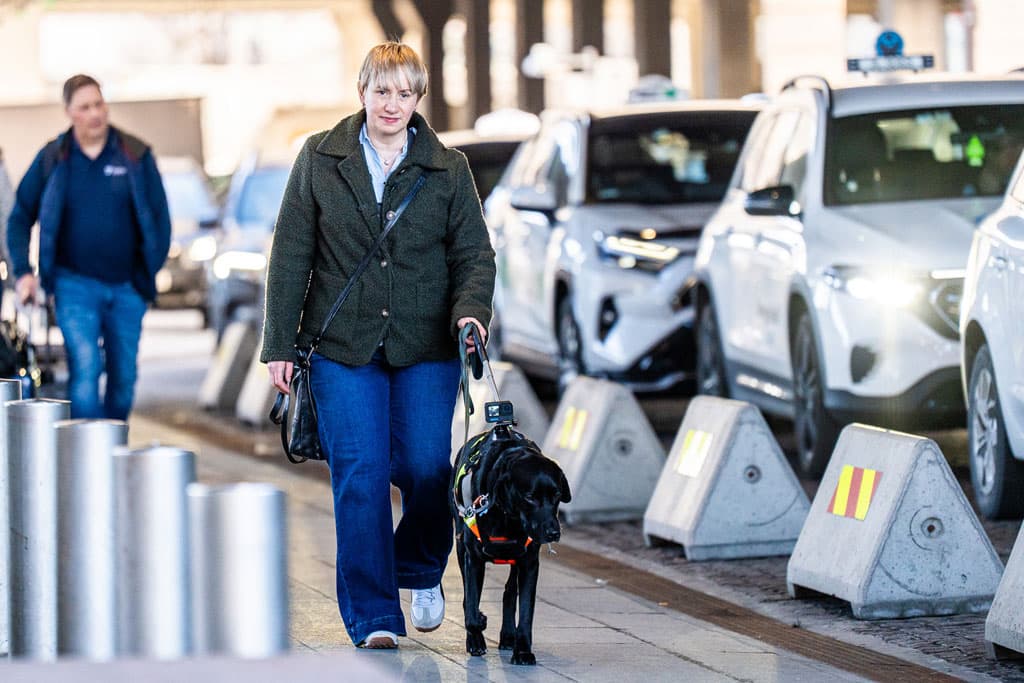 Bilde av en dame med førerhund i sele som kommer gående langs en rekke ledige drosjer.