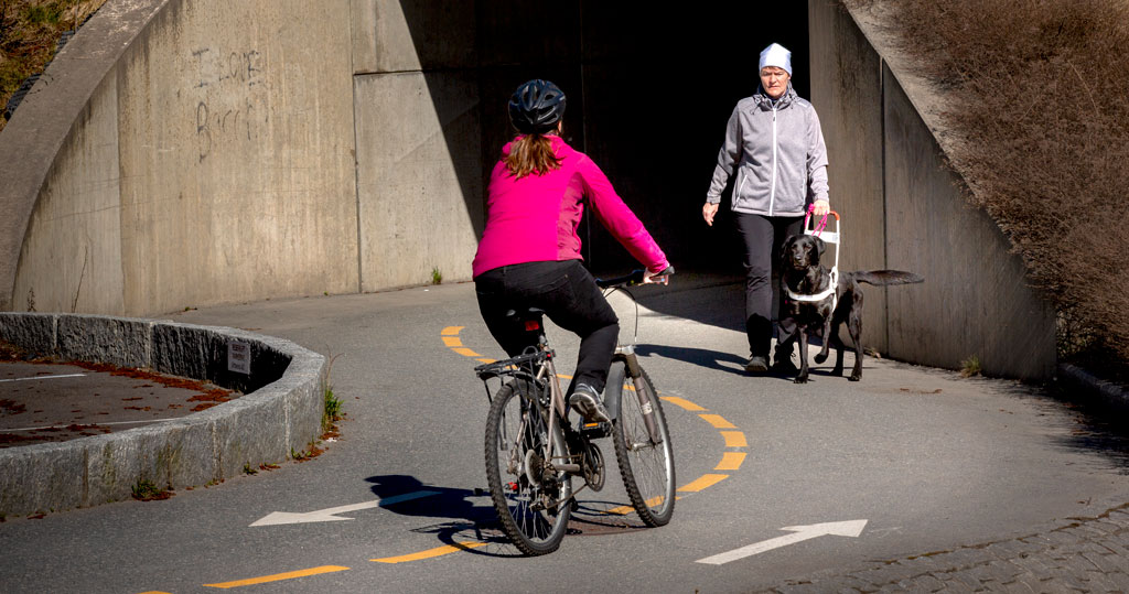 Kirsti og hennes forrige førerhund Diesel kommer gående på et gangvei, Mot henne sykler en dame