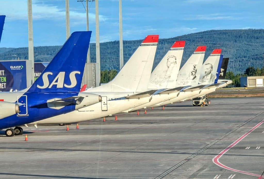 Fly veg gatene på Gardermoen, kun halene synes på rekke etter hverandre.