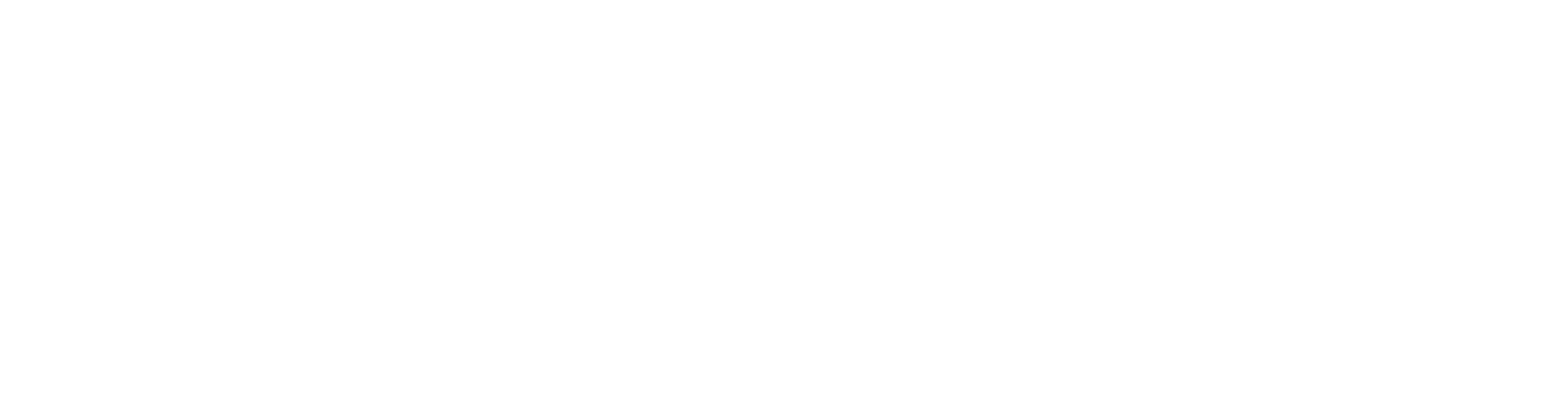 Norges Blindeforbund logo