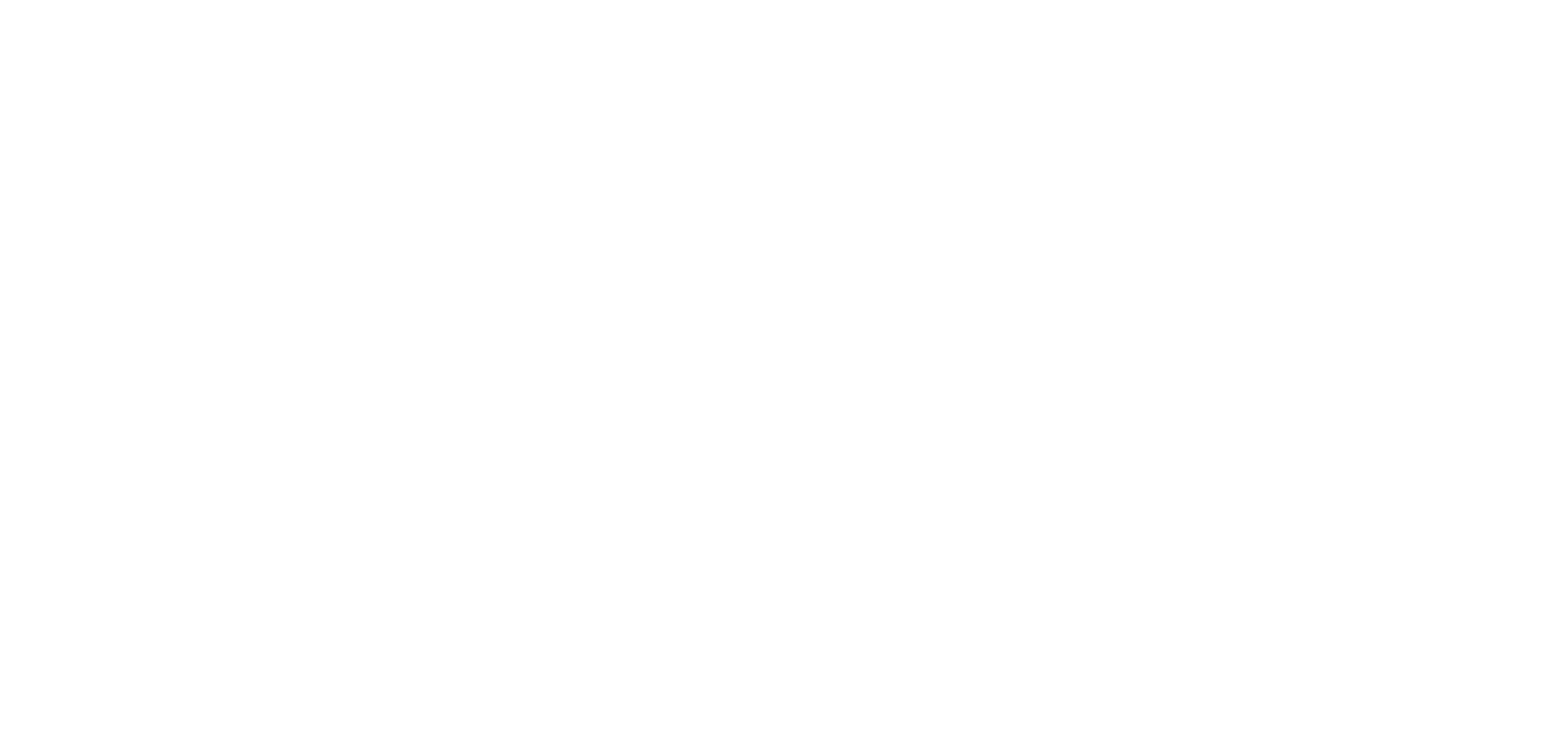Norges Blindeforbund logo